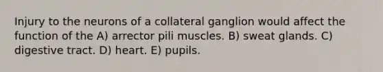 Injury to the neurons of a collateral ganglion would affect the function of the A) arrector pili muscles. B) sweat glands. C) digestive tract. D) heart. E) pupils.