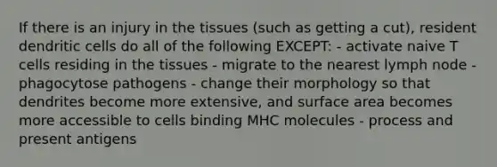 If there is an injury in the tissues (such as getting a cut), resident dendritic cells do all of the following EXCEPT: - activate naive T cells residing in the tissues - migrate to the nearest lymph node - phagocytose pathogens - change their morphology so that dendrites become more extensive, and surface area becomes more accessible to cells binding MHC molecules - process and present antigens