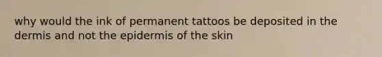 why would the ink of permanent tattoos be deposited in <a href='https://www.questionai.com/knowledge/kEsXbG6AwS-the-dermis' class='anchor-knowledge'>the dermis</a> and not <a href='https://www.questionai.com/knowledge/kBFgQMpq6s-the-epidermis' class='anchor-knowledge'>the epidermis</a> of the skin