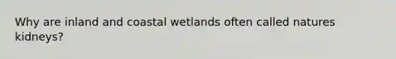 Why are inland and coastal wetlands often called natures kidneys?