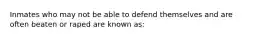 ​Inmates who may not be able to defend themselves and are often beaten or raped are known as: