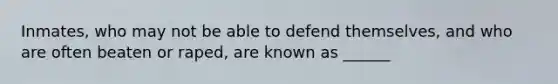 Inmates, who may not be able to defend themselves, and who are often beaten or raped, are known as ______