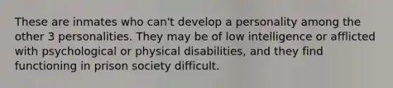 These are inmates who can't develop a personality among the other 3 personalities. They may be of low intelligence or afflicted with psychological or physical disabilities, and they find functioning in prison society difficult.