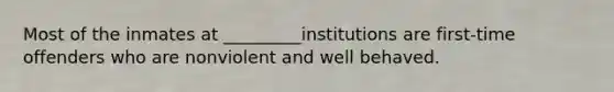 Most of the inmates at _________institutions are first-time offenders who are nonviolent and well behaved.