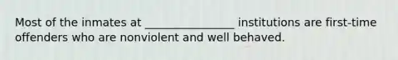 Most of the inmates at ________________ institutions are first-time offenders who are nonviolent and well behaved.