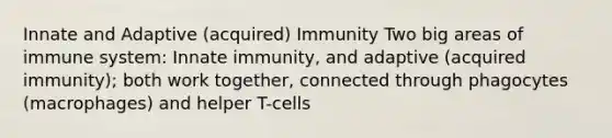 Innate and Adaptive (acquired) Immunity Two big areas of immune system: Innate immunity, and adaptive (acquired immunity); both work together, connected through phagocytes (macrophages) and helper T-cells