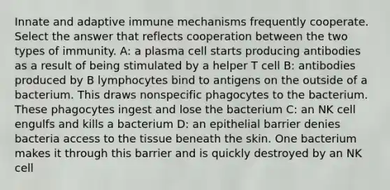 Innate and adaptive immune mechanisms frequently cooperate. Select the answer that reflects cooperation between the two types of immunity. A: a plasma cell starts producing antibodies as a result of being stimulated by a helper T cell B: antibodies produced by B lymphocytes bind to antigens on the outside of a bacterium. This draws nonspecific phagocytes to the bacterium. These phagocytes ingest and lose the bacterium C: an NK cell engulfs and kills a bacterium D: an epithelial barrier denies bacteria access to the tissue beneath the skin. One bacterium makes it through this barrier and is quickly destroyed by an NK cell