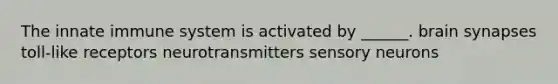 The innate immune system is activated by ______. brain synapses toll-like receptors neurotransmitters sensory neurons