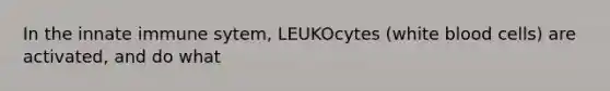 In the innate immune sytem, LEUKOcytes (white blood cells) are activated, and do what