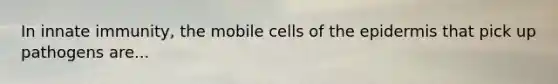 In innate immunity, the mobile cells of <a href='https://www.questionai.com/knowledge/kBFgQMpq6s-the-epidermis' class='anchor-knowledge'>the epidermis</a> that pick up pathogens are...