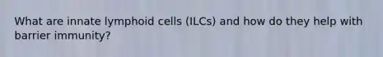 What are innate lymphoid cells (ILCs) and how do they help with barrier immunity?