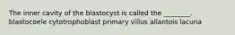 The inner cavity of the blastocyst is called the ________. blastocoele cytotrophoblast primary villus allantois lacuna