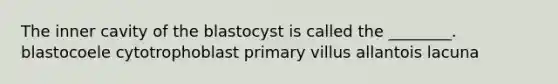 The inner cavity of the blastocyst is called the ________. blastocoele cytotrophoblast primary villus allantois lacuna