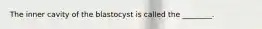 The inner cavity of the blastocyst is called the ________.