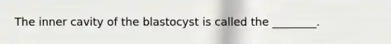 The inner cavity of the blastocyst is called the ________.