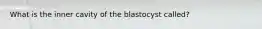 What is the inner cavity of the blastocyst called?