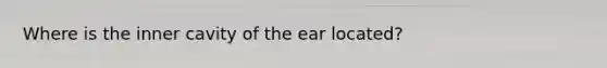 Where is the inner cavity of the ear located?