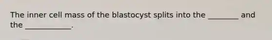 The inner cell mass of the blastocyst splits into the ________ and the ____________.