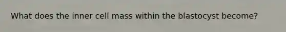 What does the inner cell mass within the blastocyst become?