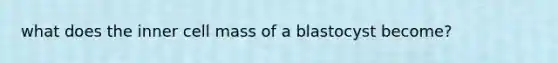 what does the inner cell mass of a blastocyst become?