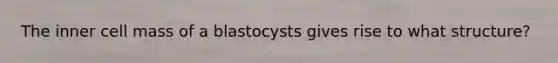 The inner cell mass of a blastocysts gives rise to what structure?