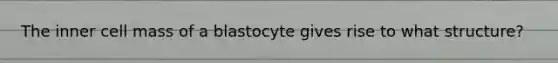 The inner cell mass of a blastocyte gives rise to what structure?