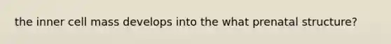 the inner cell mass develops into the what prenatal structure?