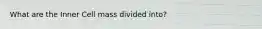 What are the Inner Cell mass divided into?