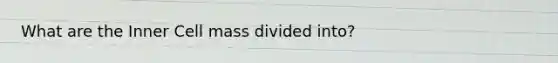 What are the Inner Cell mass divided into?