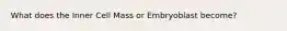 What does the Inner Cell Mass or Embryoblast become?