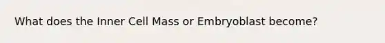 What does the Inner Cell Mass or Embryoblast become?