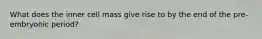 What does the inner cell mass give rise to by the end of the pre-embryonic period?