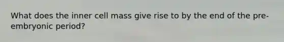 What does the inner cell mass give rise to by the end of the pre-embryonic period?