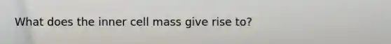 What does the inner cell mass give rise to?