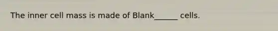 The inner cell mass is made of Blank______ cells.