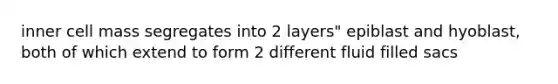 inner cell mass segregates into 2 layers" epiblast and hyoblast, both of which extend to form 2 different fluid filled sacs