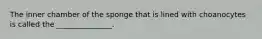 The inner chamber of the sponge that is lined with choanocytes is called the _______________.