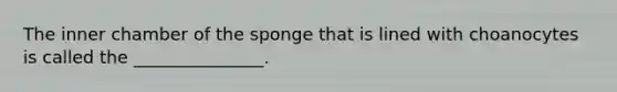 The inner chamber of the sponge that is lined with choanocytes is called the _______________.