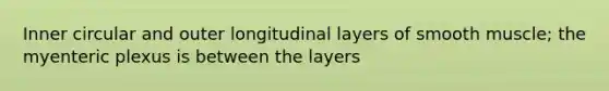 Inner circular and outer longitudinal layers of smooth muscle; the myenteric plexus is between the layers