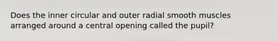 Does the inner circular and outer radial smooth muscles arranged around a central opening called the pupil?