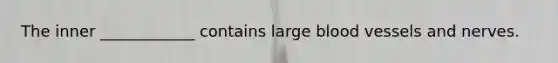 The inner ____________ contains large blood vessels and nerves.