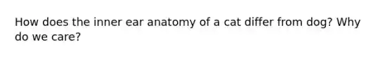How does the inner ear anatomy of a cat differ from dog? Why do we care?