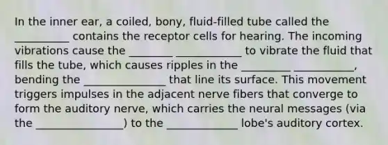 In the inner ear, a coiled, bony, fluid-filled tube called the __________ contains the receptor cells for hearing. The incoming vibrations cause the ________ ____________ to vibrate the fluid that fills the tube, which causes ripples in the _________ ___________, bending the _______________ that line its surface. This movement triggers impulses in the adjacent nerve fibers that converge to form the auditory nerve, which carries the neural messages (via the ________________) to the _____________ lobe's auditory cortex.