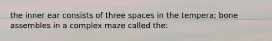 the inner ear consists of three spaces in the tempera; bone assembles in a complex maze called the: