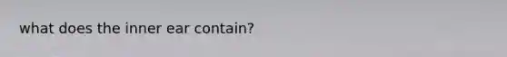 what does the inner ear contain?