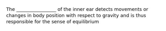 The _________________ of the inner ear detects movements or changes in body position with respect to gravity and is thus responsible for the sense of equilibrium