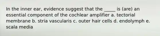 In the inner ear, evidence suggest that the _____ is (are) an essential component of the cochlear amplifier a. tectorial membrane b. stria vascularis c. outer hair cells d. endolymph e. scala media