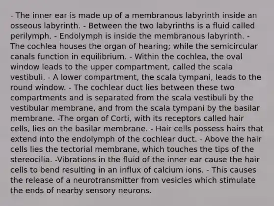 - The inner ear is made up of a membranous labyrinth inside an osseous labyrinth. - Between the two labyrinths is a fluid called perilymph. - Endolymph is inside the membranous labyrinth. - The cochlea houses the organ of hearing; while the semicircular canals function in equilibrium. - Within the cochlea, the oval window leads to the upper compartment, called the scala vestibuli. - A lower compartment, the scala tympani, leads to the round window. - The cochlear duct lies between these two compartments and is separated from the scala vestibuli by the vestibular membrane, and from the scala tympani by the basilar membrane. -The organ of Corti, with its receptors called hair cells, lies on the basilar membrane. - Hair cells possess hairs that extend into the endolymph of the cochlear duct. - Above the hair cells lies the tectorial membrane, which touches the tips of the stereocilia. -Vibrations in the fluid of the inner ear cause the hair cells to bend resulting in an influx of calcium ions. - This causes the release of a neurotransmitter from vesicles which stimulate the ends of nearby sensory neurons.