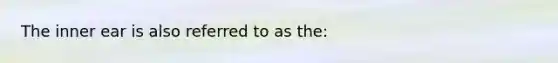 The inner ear is also referred to as the: