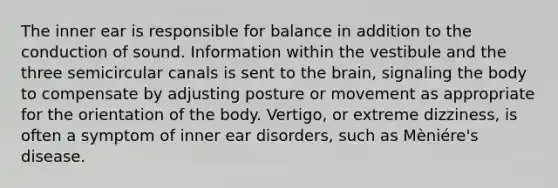 The inner ear is responsible for balance in addition to the conduction of sound. Information within the vestibule and the three semicircular canals is sent to the brain, signaling the body to compensate by adjusting posture or movement as appropriate for the orientation of the body. Vertigo, or extreme dizziness, is often a symptom of inner ear disorders, such as Mèniére's disease.